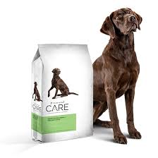 Diamond Care Sensitive Skin Adult Dry Dog Food 25lbs